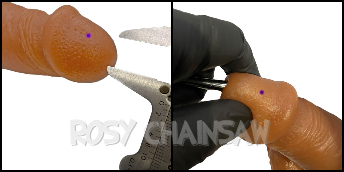 リバースプリンスアルバート