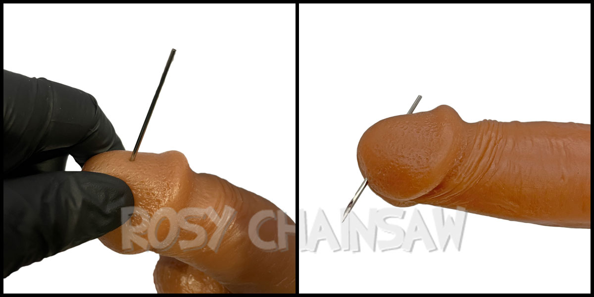 リバースプリンスアルバート