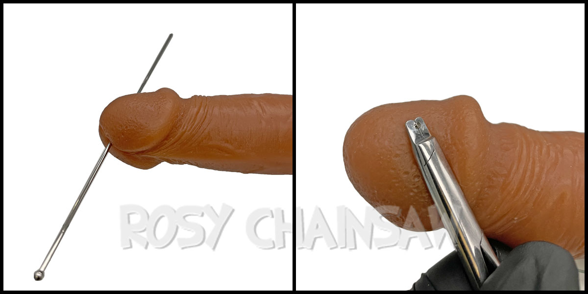 リバースプリンスアルバート